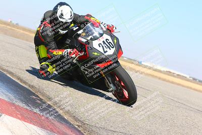 media/Mar-07-2022-Fun Track Dayz (Mon) [[9cc4a7dca7]]/Expert Group/115pm (Grapevine)/